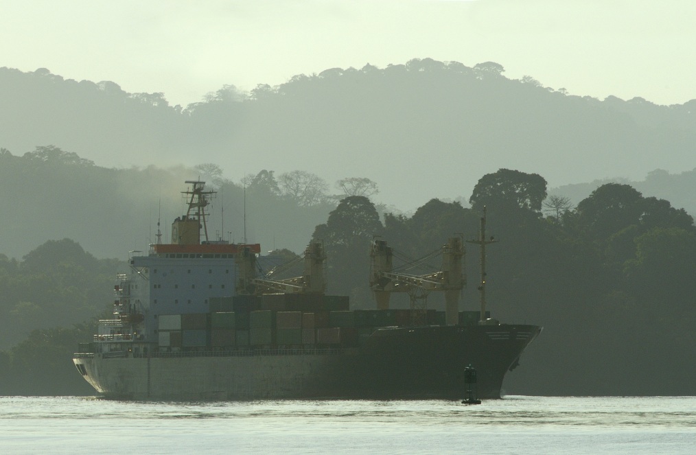©TotalEnergies - Mark Carroll - stock.adobe.com Picture of a ship on a river in the forest