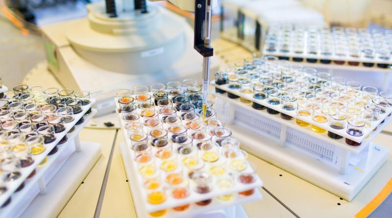 Oil Samples at the laboratory in Ertvelde