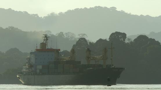 Picture of a ship on a river in the forest