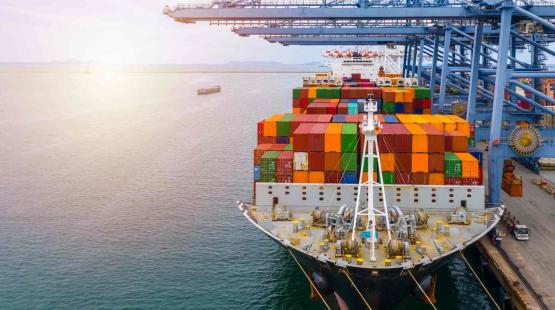 Living with IMO2020 - New fuels, new challenges for lubrication Living with IMO2020 - New fuels, new challenges for lubrication
