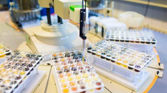 Diagomar Plus Service extends network with a new Laboratory in Chicago. Diagomar Plus Service extends network with a new Laboratory in Chicago.