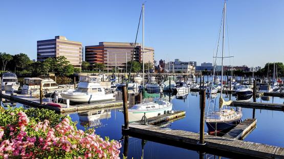 Stamford Harbor View