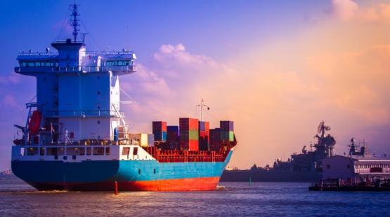 (c) TotalEnergies Cargo Ship at Anchorage