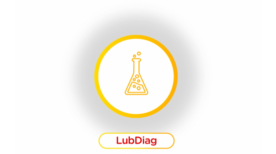 2D motion design representation of LubDiag